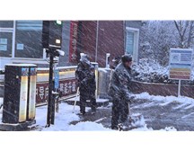 98彩票——烟台初雪守护行动